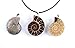 35-40mm Natural Single Ammonite Fossil Stone Gemstone Charms Pendant Necklaces Vintage Style