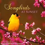 Songbirds at Sunset