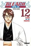 Bleach 12: Flower on the Precipice
