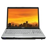 Toshiba Satellite P205D-S7438 17-inch Laptop (AMD Athlon 64 X2 Dual Core Processor TK-55, 1 GB RAM, 160 GB Hard Drive, Vista Premium)