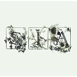 Colour the Small Onepar Sia