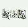 Colour the Small One ~ Sia