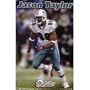 Miami Dolphins (Jason Taylor) Sports Poster Print