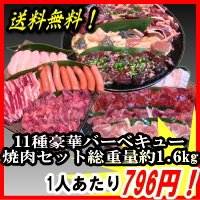 [送料無料]お腹いっぱい！バーベキューセット5人前　お肉11種類　総重量1.6kg
