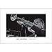 Ted Williams (Louis Armstrong) Music Poster Print - 24x36