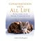 Animal / Pet Communication