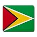 Guyana Flag Mouse Pad