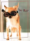 Chihuahua in Goggles Birthday Card