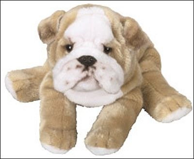 Spike Bulldog 10 by First and Main