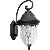 Progress Lighting P5828-31 1-Light Chain Hung Lantern with Optic Hammered Clear Glass, Textured Black