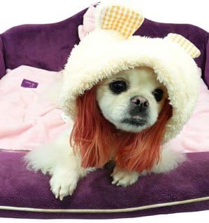 Doggidogi Cute and Cozy Dog Cloth Bear & Cake Cotton Coat Dress (Cute and Cozy Cotton Coat, 1=SMALL)