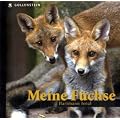 Meine F�chse: Bildband
