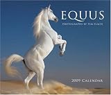 Equus 2009 Wall Calendar