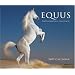 Equus 2009 Wall Calendar