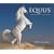 Equus 2009 Wall Calendar