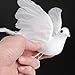 Artificial Dove with White Flocked Body and Natural Feather Wings and Tail- Package of 6