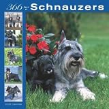 366 Days of Schnauzers 2008 Wall Calendar