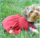 Pet Supplies : Burgundy Uptown Girl Sundress Dog Dress by Ruffluv at THE REGAL DOG - Size L Large