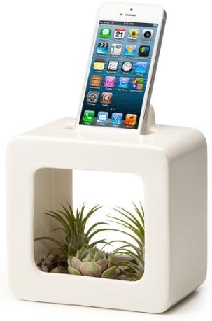 Bloom Box iPhone Dock White