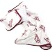 Lug Life Go Canada Nap Sac Travel Blanket + Pillow Set
