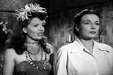 Amazon Women Movies: Queen of the Amazons DVD (1946) Starring John Miljan, Robert Lowery, Patricia Morison, Jack George, Keith Richards, Wilson Benge, and Cay Forester