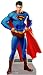 Search : SUPERMAN STANDING LIFESIZE STANDUP/ POSTER #587