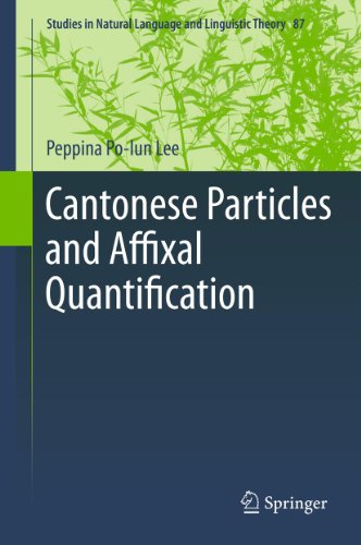 Cantonese Particles and Affixal Quantification: 87 (Studies in Natural Language and Linguistic Theory)