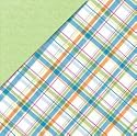 Deja Views - C-Thru - Little Yellow Bicycle - Baby Safari Boy Collection - 12 x 12 Double Sided Paper - Plaid