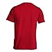 Dion Wear Men's American Flag Skull Short Sleeve T-Shirt (L, Red)