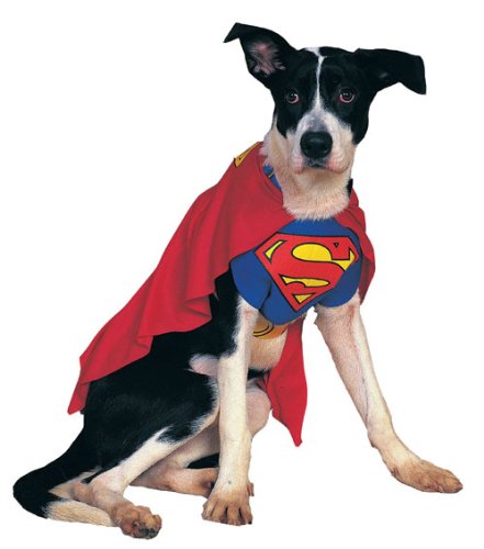 Superman Medium Pet Costume