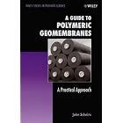 A Guide to Polymeric Geomembranes: A Practical Approach (Wiley Series in Polymer Science) by John Scheirs