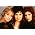 Vignette de Wilson Phillips