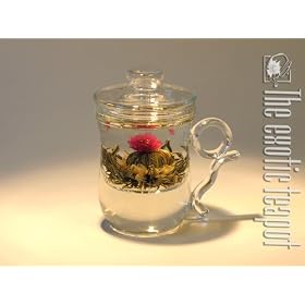 Glass Infuser Mug by THE EXOTIC TEAPOT