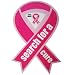 Pink Ribbon Breast Cancer Awareness Relay for Life 2 in 1 Car Magnet Great for Fundraising New Style