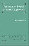 Perturbation Bounds for Matrix Eigenvalues (Classics in Applied Mathematics)
