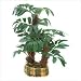 EVERLASTING FAUX LIFELIKE REALISTIC BONSAI PALM TREE
