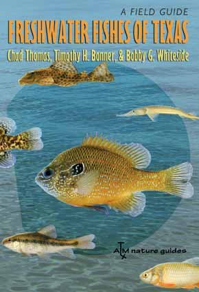 Freshwater Fishes of Texas: A Field Guide (River Books)