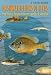 Books : Freshwater Fishes of Texas: A Field Guide (River Books)