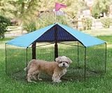 Kittywalk Carousel