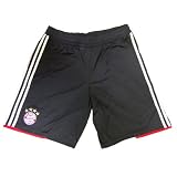 Adidas FC Bayern München UCL Short 10/11