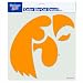 NCAA Iowa Hawkeyes 8-by-8 Inch Diecut Colored Decal