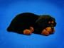 Rottweiler Animated Pet