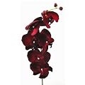 Kunstblume Orchideenzweig 78cm. Farbe BURGUND