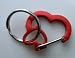 Medium Heart Aluminum Dog Tag Clip - Red