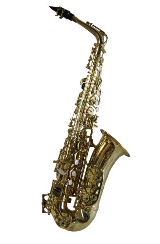 Hallelu Has-202 Eb Auto Saxophone W/pro Case 1 Year Warranty