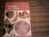 Fossils in colour