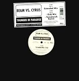 Thunder in paradise (Ext./Club Mixes/Tomahawk Remix, 2000) [VINYL]