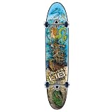 Lib Tech Longboard Complete - 9.25 X 44