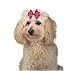Aria Isabella Bows for Dogs, 30-Piece Canisters