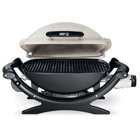 Weber 386002 Q-100 Portable Gas Grill